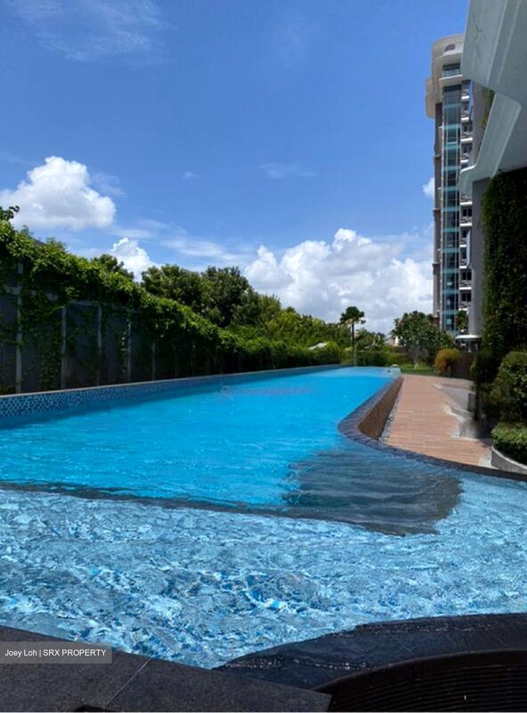 Stars Of Kovan (D19), Apartment #460270741